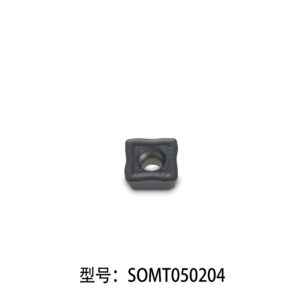 SOMT050204