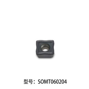 SOMT060204