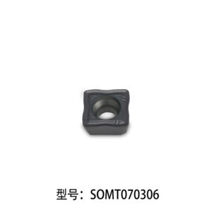 SOMT070306