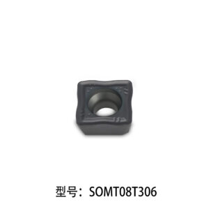 SOMT070306